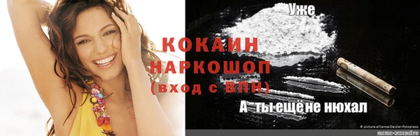 стаф Арсеньев