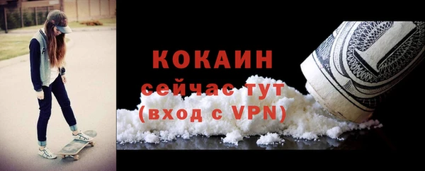 стаф Арсеньев