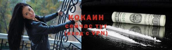 стаф Арсеньев