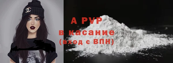 стаф Арсеньев